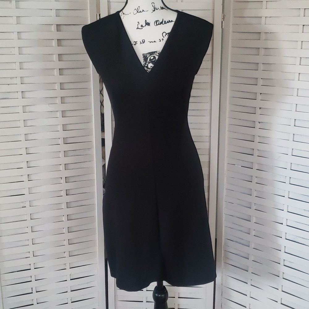 Everlane black sleeveless V-neck back full zip sheath dress size 00